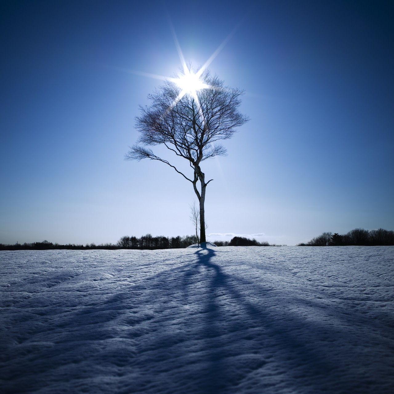 Hiroyuki-Takeda_Northern-Plains_YkZnRmM